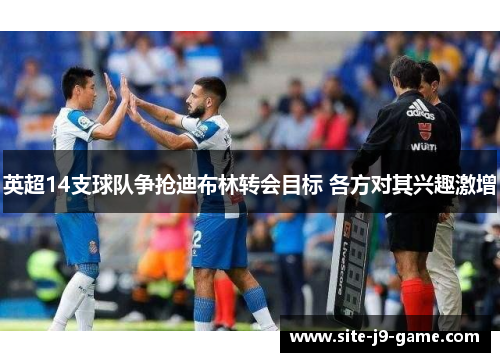 英超14支球队争抢迪布林转会目标 各方对其兴趣激增 英超14支球队争抢迪布林转会目标 各方对其兴趣激增