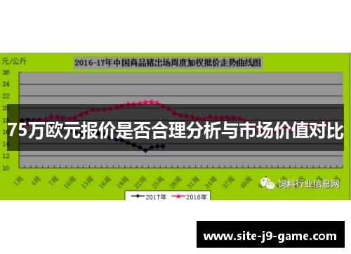 75万欧元报价是否合理分析与市场价值对比 75万欧元报价是否合理分析与市场价值对比