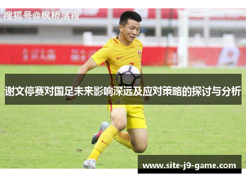 谢文停赛对国足未来影响深远及应对策略的探讨与分析 谢文停赛对国足未来影响深远及应对策略的探讨与分析