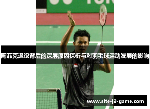陶菲克退役背后的深层原因探析与对羽毛球运动发展的影响 陶菲克退役背后的深层原因探析与对羽毛球运动发展的影响