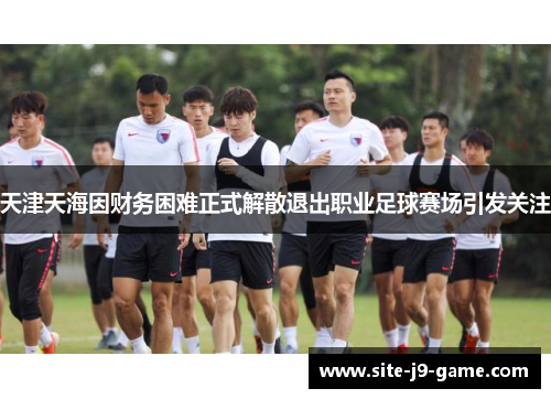 天津天海因财务困难正式解散退出职业足球赛场引发关注 天津天海因财务困难正式解散退出职业足球赛场引发关注